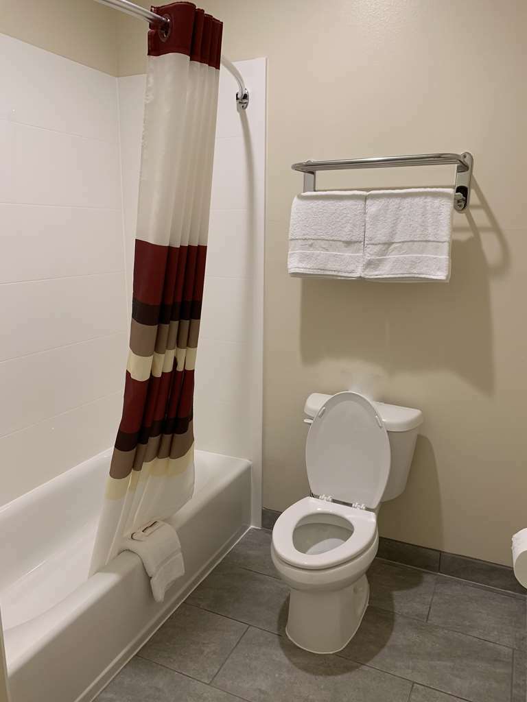 Red Roof Inn Houston - Willowbrook Louetta Chambre photo