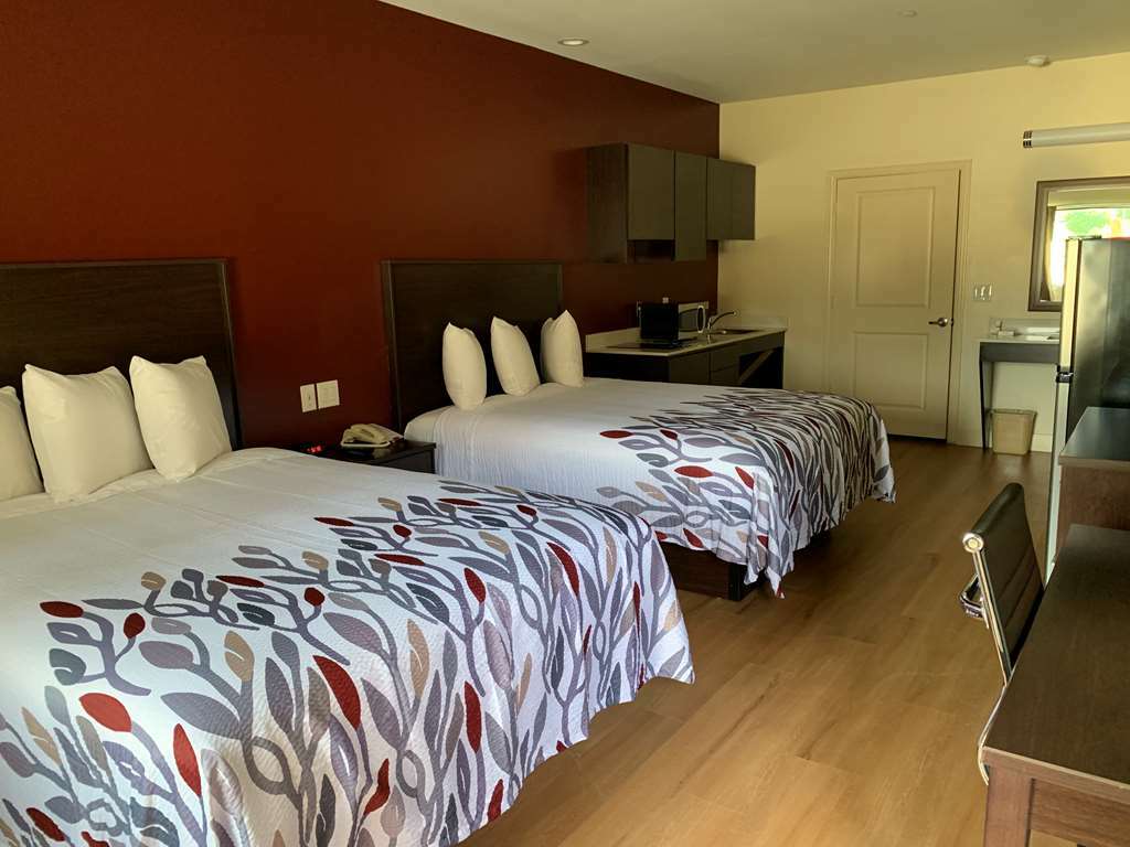 Red Roof Inn Houston - Willowbrook Louetta Chambre photo
