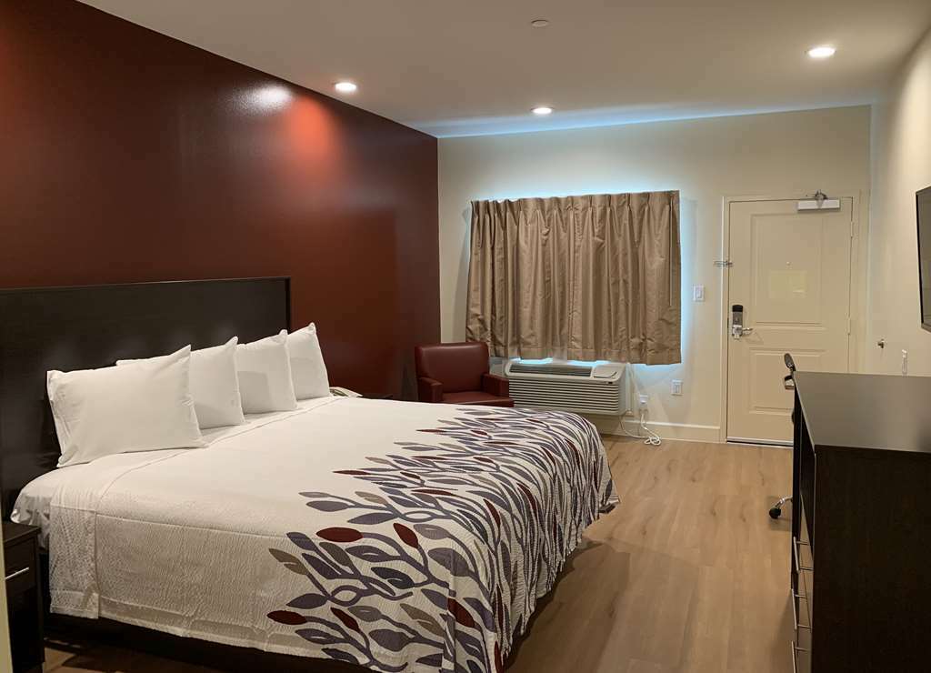 Red Roof Inn Houston - Willowbrook Louetta Chambre photo