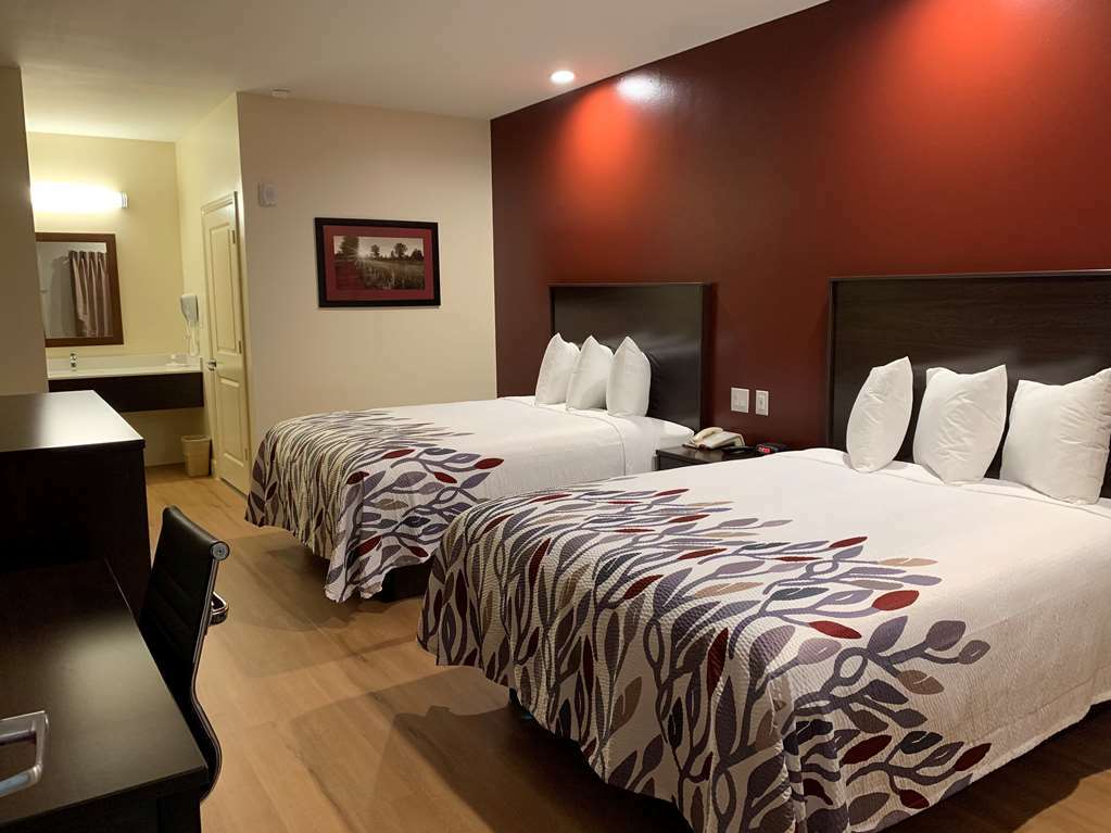 Red Roof Inn Houston - Willowbrook Louetta Chambre photo